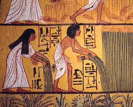 Dekoration i Sennedjems grav visar egyptier som skördar lin.